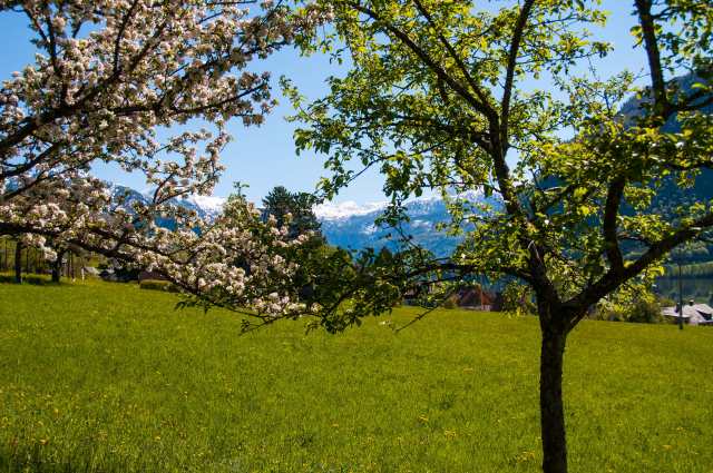 Grundlsee Lage, Aussicht nach Gößl